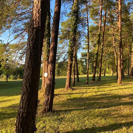 Le Clos Romantic&spa - Le Grand Périgueux Bed and breakfast