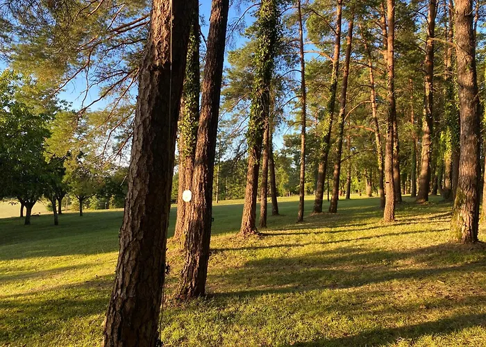 Le Clos Romantic & Spa - Perigueux - Bassillac Et Auberoche Bed & Breakfast